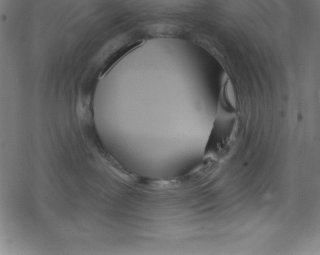 X0000078250239200612011637