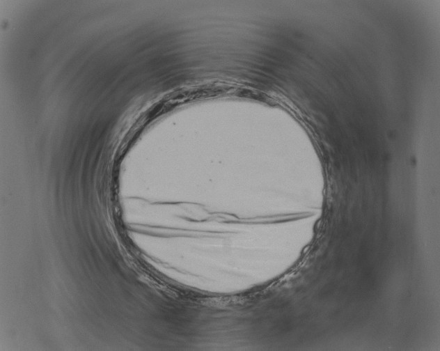 X0000078250241200612011636