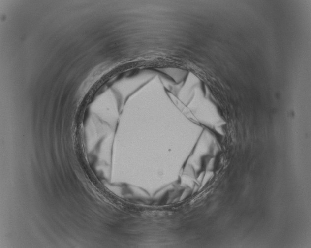 X0000078250242200612011636