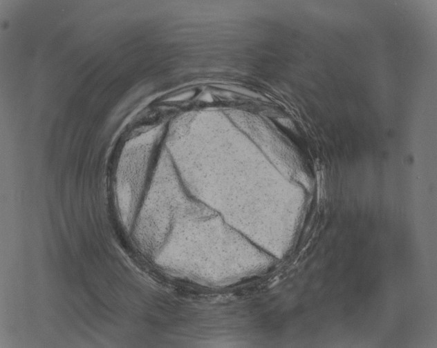 X0000078250243200612011636