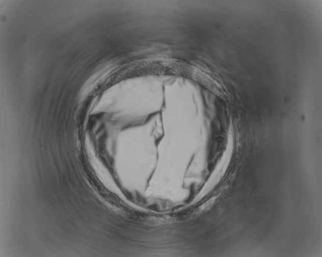 X0000078250245200612011636