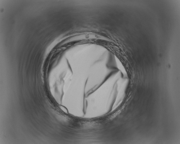 X0000078250246200612011636