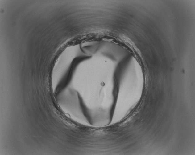 X0000078250249200612011637