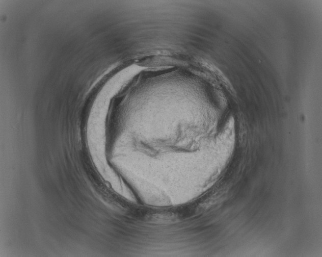 X0000078250251200612011637