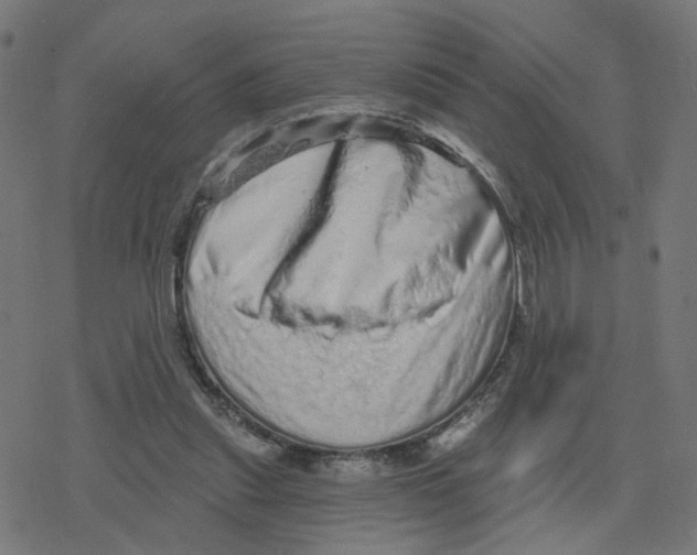 X0000078250253200612011637