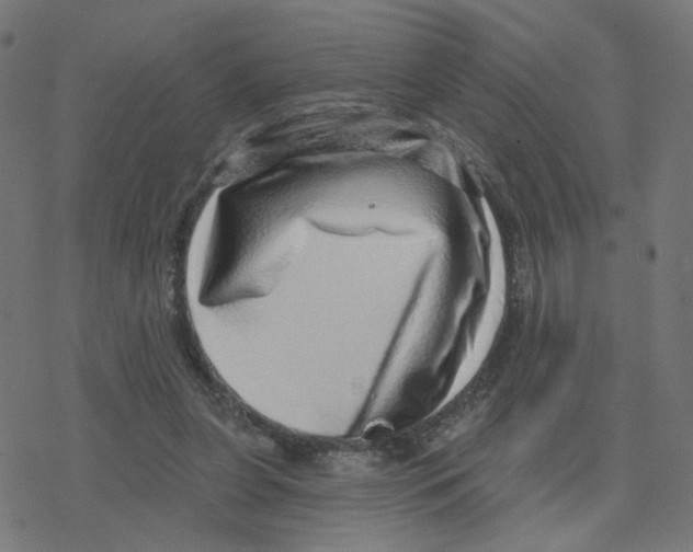 X0000078250255200612011637