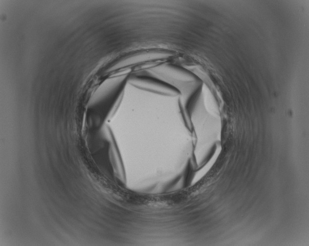 X0000078250256200612011637
