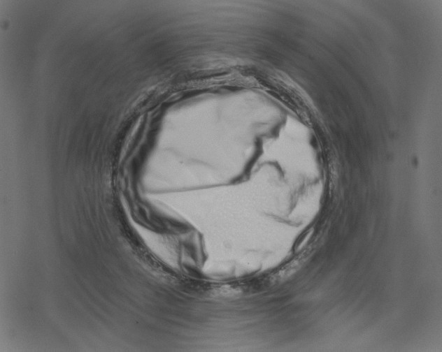 X0000078250257200612011637