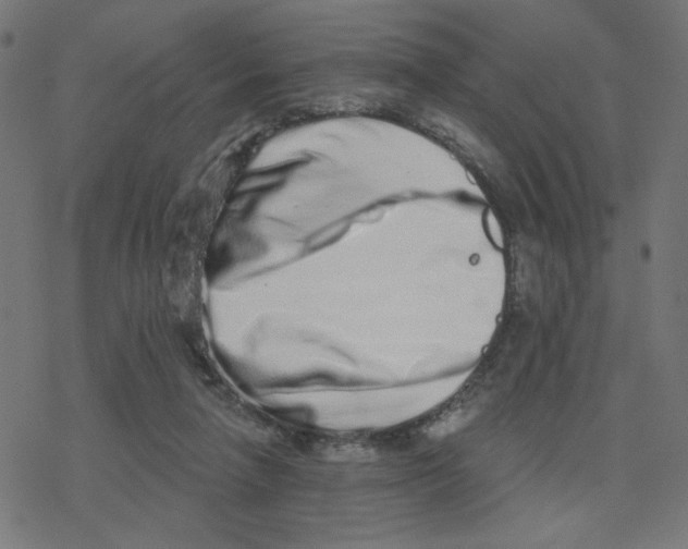 X0000078250258200612011637