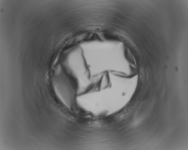 X0000078250259200612011637