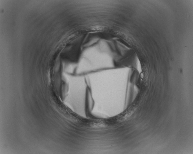 X0000078250262200612011637