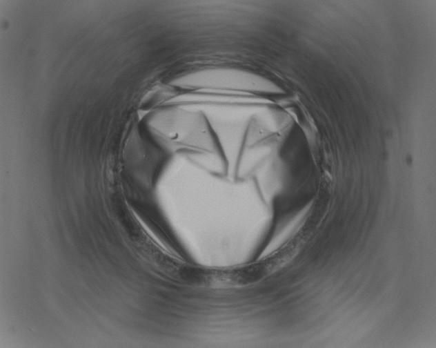 X0000078250264200612011637