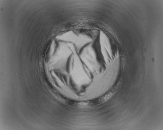 X0000078250265200612011637