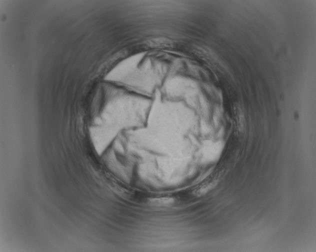 X0000078250266200612011637