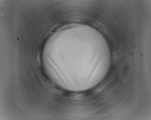 X0000078250267200612011637
