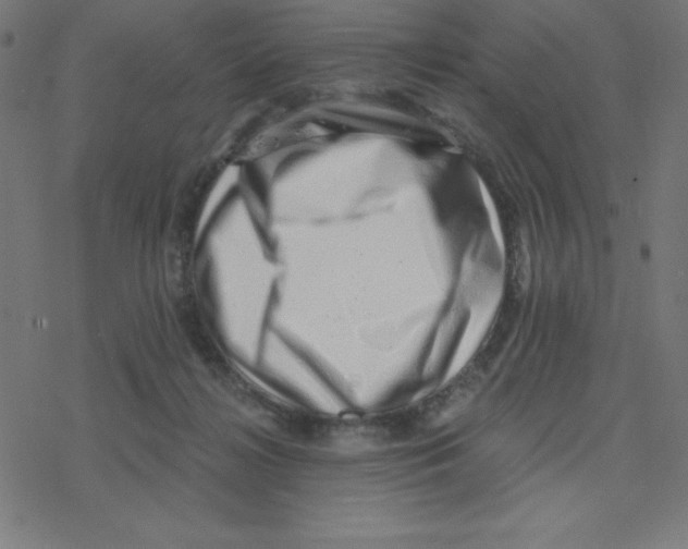 X0000078250268200612011637
