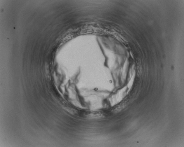 X0000078250270200612011637