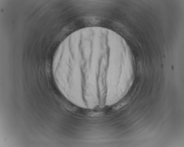 X0000078250274200612011637