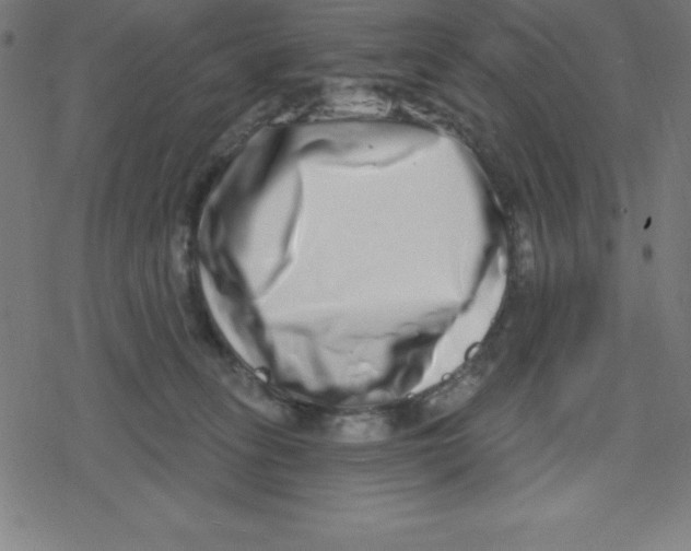 X0000078250275200612011637