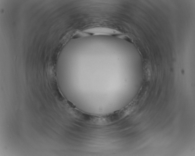 X0000078250276200612011637