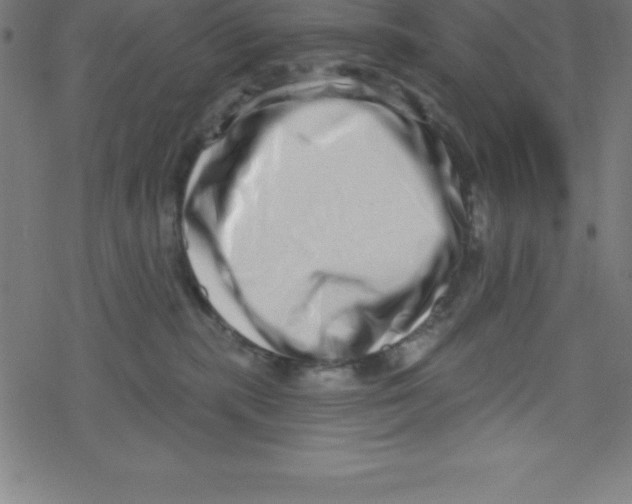 X0000078250283200612011637