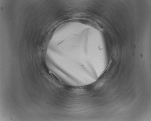 X0000078250284200612011637