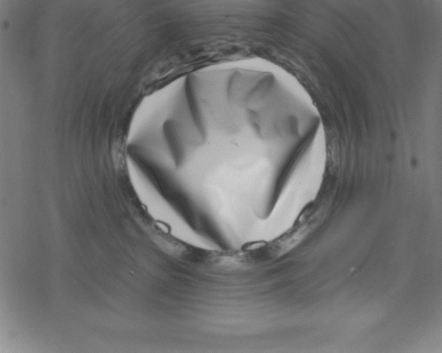 X0000078250285200612011637