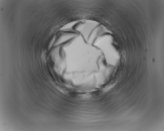 X0000078250286200612011637