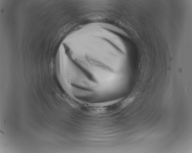 X0000078250288200612011637