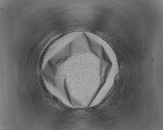 X0000078250290200612011636