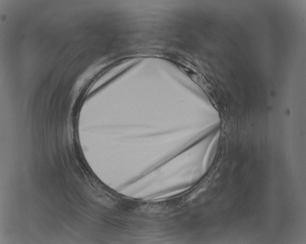 X0000078250294200612011636