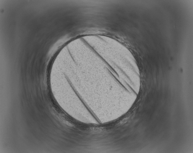 X0000078250296200612011636