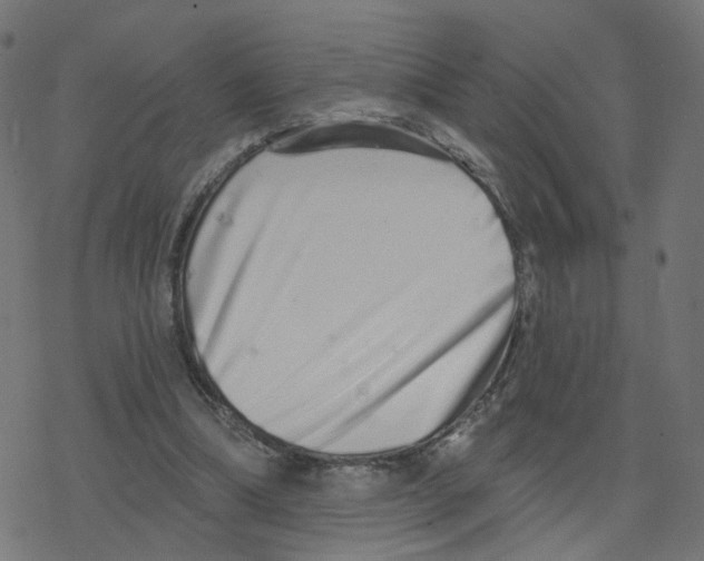 X0000078250298200612011636