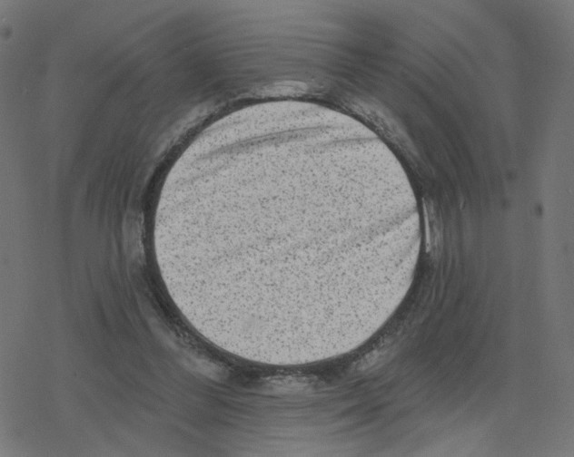 X0000078250300200612011636