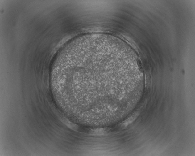 X0000078250301200612011636