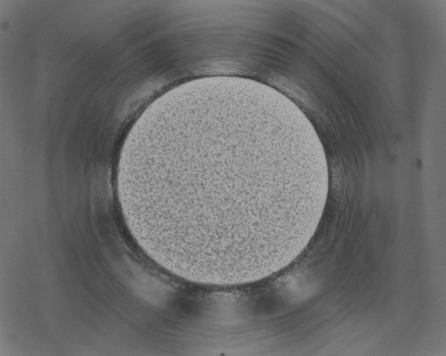 X0000078250302200612011636