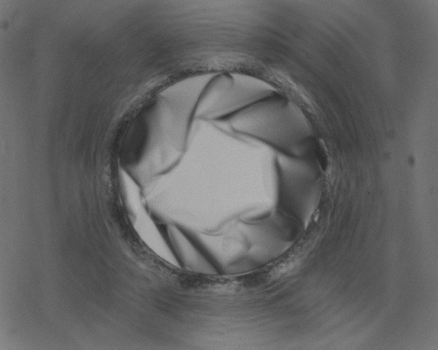 X0000078250306200612011636