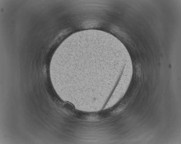 X0000078250308200612011636
