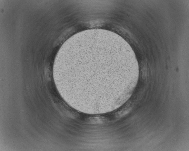 X0000078250316200612011636