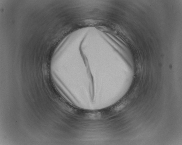 X0000078250317200612011636