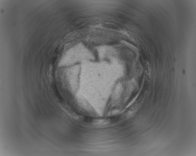 X0000078250319200612011636
