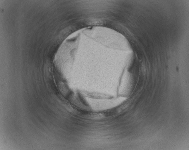 X0000078250322200612011636