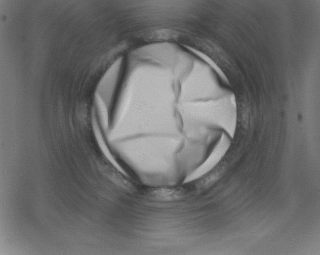 X0000078250326200612011636