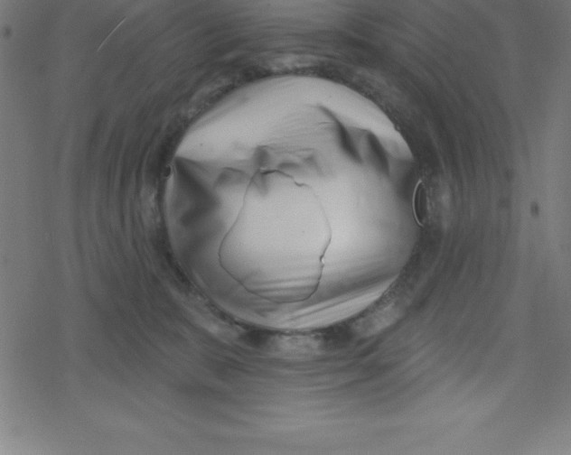 X0000078250327200612011636