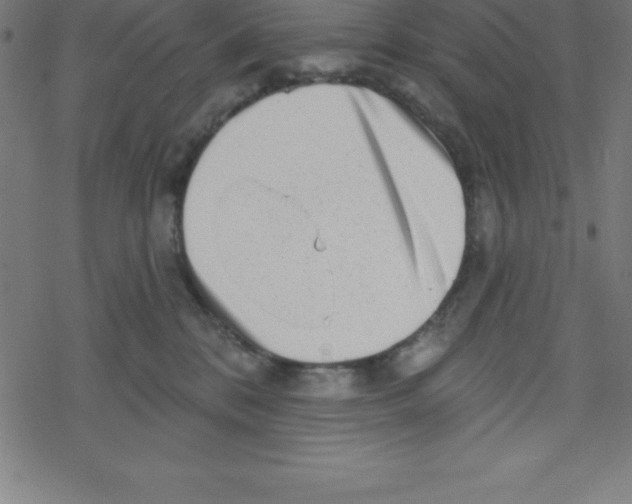 X0000078250328200612011636