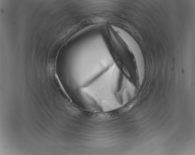 X0000078250329200612011636