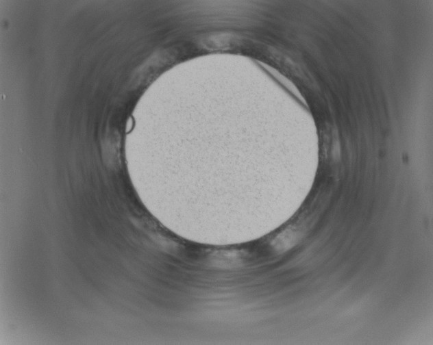 X0000078250332200612011636