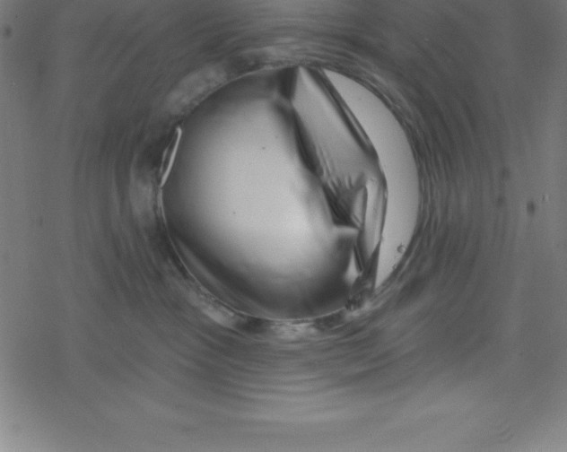 X0000078250333200612011636