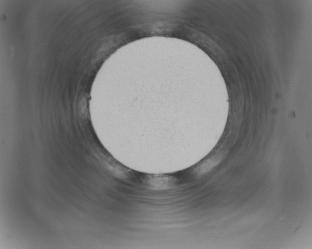 X0000078250336200612011636