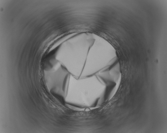X0000078250338200612011635